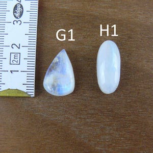 May include: Two polished moonstone cabochons labeled G1 and H1 next to a white measuring tape. The G1 stone is pear-shaped with blue iridescence, while the H1 stone is oval-shaped and white. The measuring tape shows a scale in centimeters.