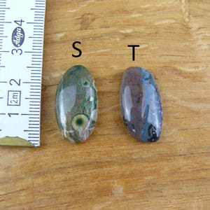 May include: Two polished oval gemstones labeled S and T next to a ruler. The S stone is green with circular patterns, while the T stone is a mix of blue, brown, and black. The ruler shows a scale in centimeters, with the stones measuring about 1 inch.