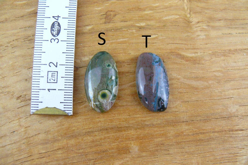 May include: Two polished oval gemstones labeled S and T next to a ruler. The S stone is green with circular patterns, while the T stone is a mix of blue, brown, and black. The ruler shows a scale in centimeters, with the stones measuring about 1 inch.