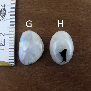 Puede incluir: Dos cabujones de piedra lunar pulidos, uno irregular y otro ovalado, con una regla para la escala. Las piedras son blancas con destellos azules iridiscentes. La piedra ovalada tiene una inclusi&oacute;n negra. El fondo es una superficie de madera oscura.