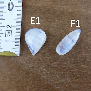 May include: Two polished moonstone cabochons, labeled E1 and F1, are displayed next to a ruler showing measurements in centimeters. The E1 stone is pear-shaped, while the F1 stone is elongated and teardrop-shaped, both featuring a translucent white appearance.