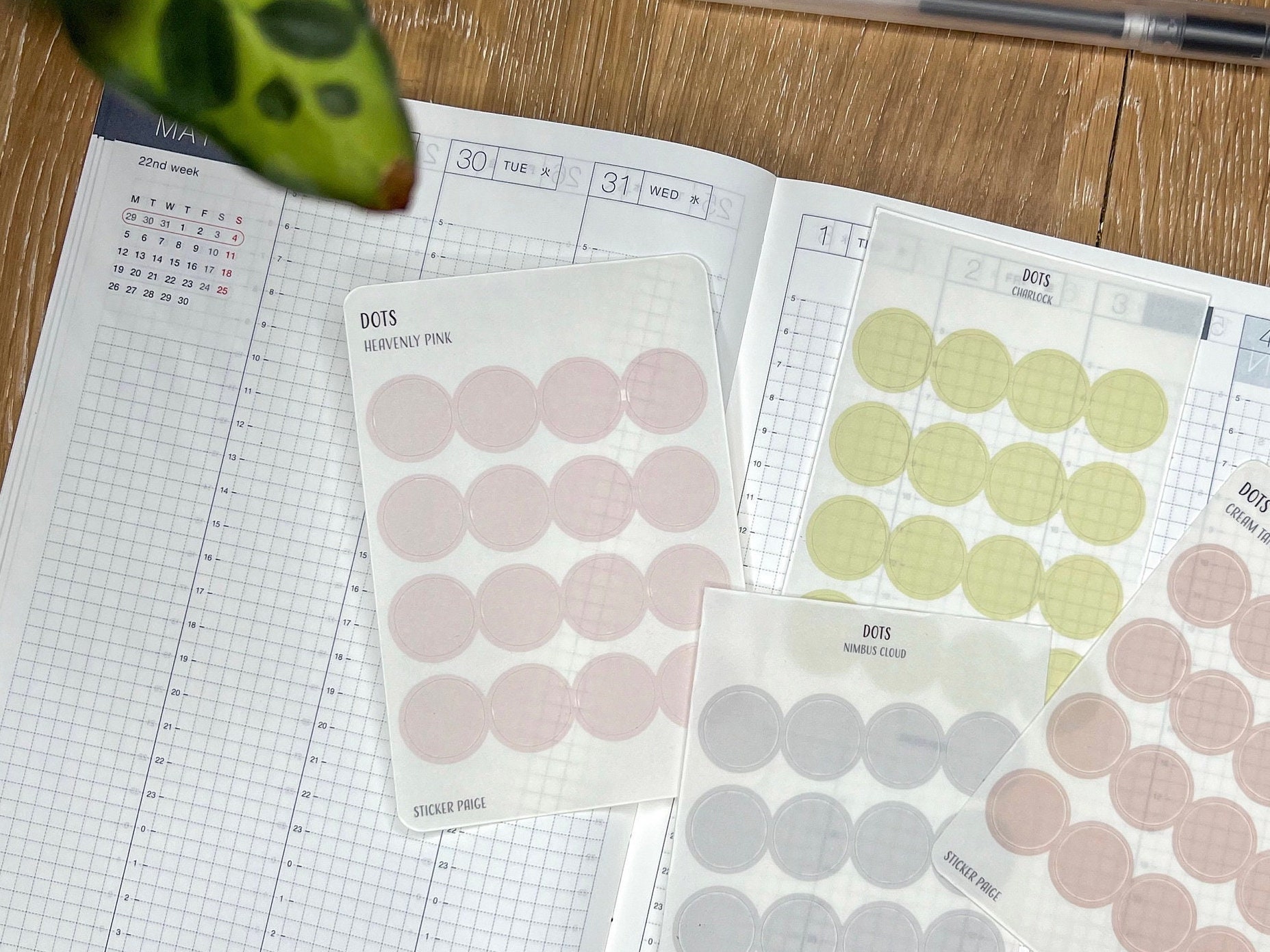 DOTS Planner Stickers | Minimalist Planning | Circle Stickers ...