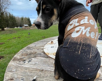 Adopt Me Dog Tee: Bleached Foster Dog T-Shirt