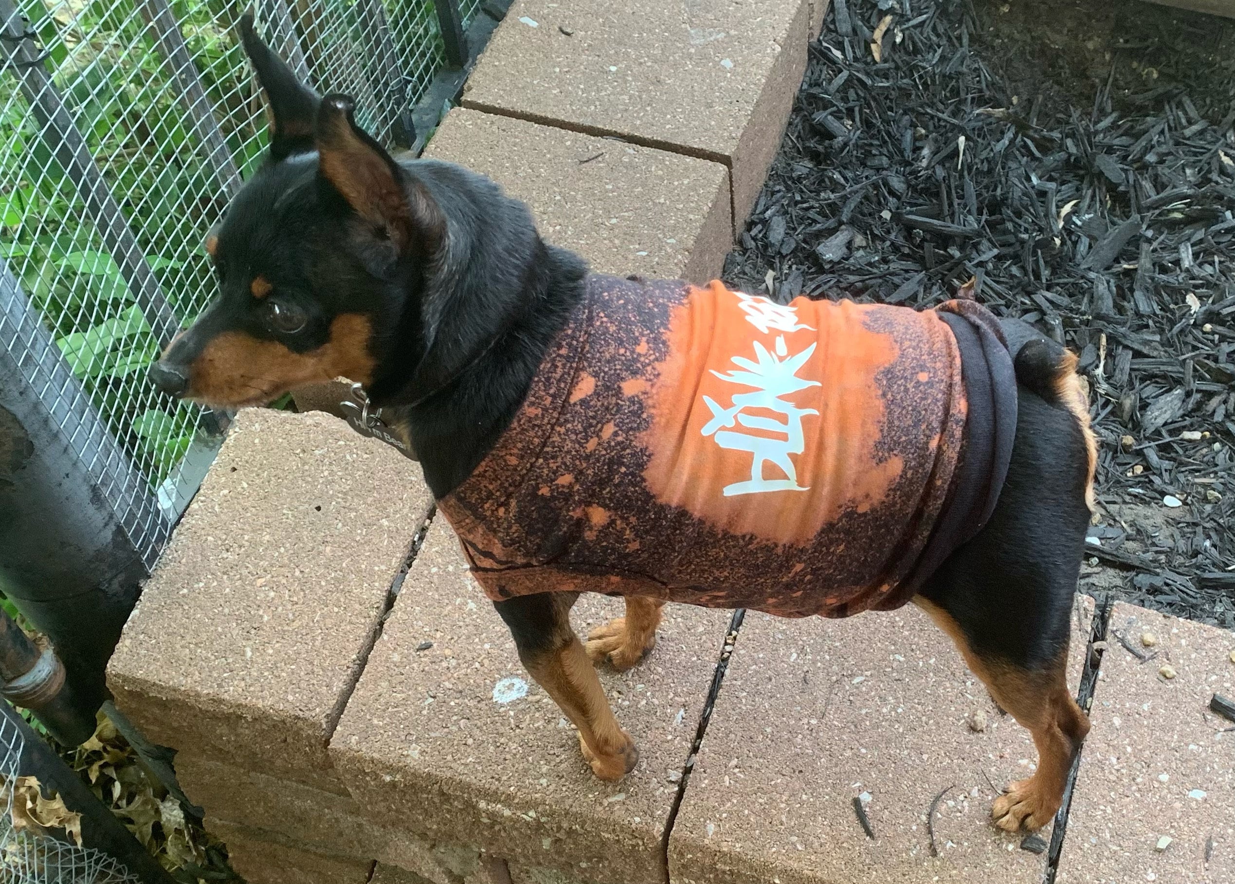 Vintage Dog Band Tee/ Custom Dog Shirt Etsy