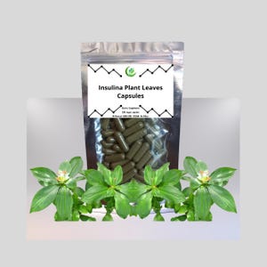 Peut inclure: Un sachet argenté contenant des gélules de feuilles de plantes Insulina. L'étiquette indique "Insulina Plant Leaves Capsules". Le sachet est rempli de gélules vertes. Des plantes vertes avec des fleurs blanches sont au premier plan.