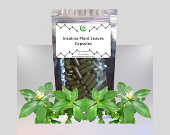 Organic Insulin Plant Leaves Extract 10:1 500mg Capsules