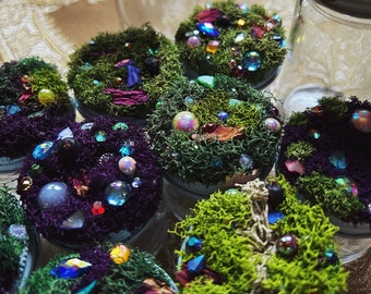 Enchanted Moss Jars