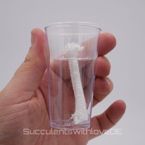Op de afbeelding: Een doorzichtige plastic beker gevuld met water en een witte lont. De lont is gedeeltelijk ondergedompeld in het water.