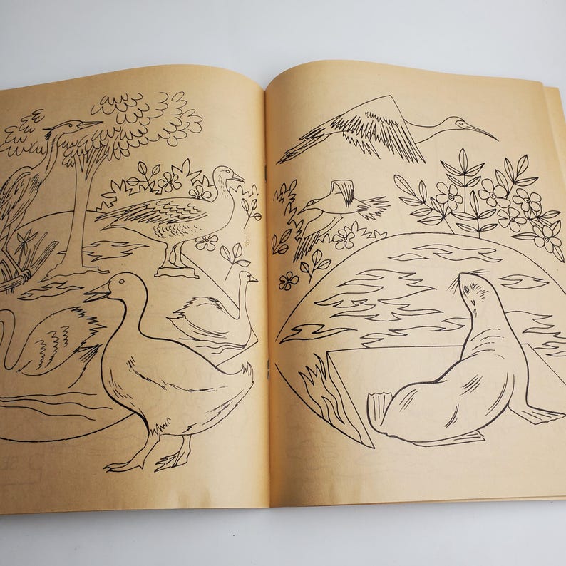 Op de afbeelding: Een zwart-witte kleurplaat met illustraties van vogels, een zeehond en bloemen. De vogels omvatten een reiger, een gans en een zwaan. De zeehond ligt op zijn buik met zijn flippers uitgespreid. De bloemen zijn eenvoudig en gestileerd.
