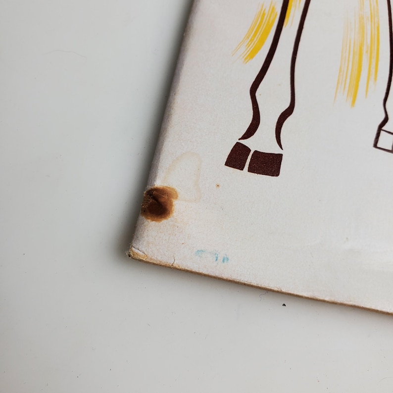 Op de afbeelding: Een wit boek met een bruine vlek op de hoek. Het boek heeft een gele en bruine illustratie van paardenpoten en staart op de omslag.