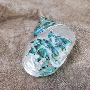 May include: A polished seashell featuring a carved maple leaf design on its surface. The shell displays a pearlescent white base color with vibrant teal and dark brown streaks throughout the intricate leaf carving and the spiral top section.