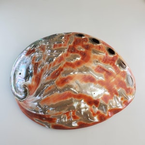 Giant Mexican Red Abalone Shell Polished on both sides. ideal for display or trinket/ ring dish.