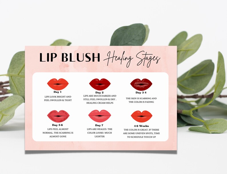 PMU Lip Blush Template, DIY Aftercare PMU Card Instruction, Lip Blush ...