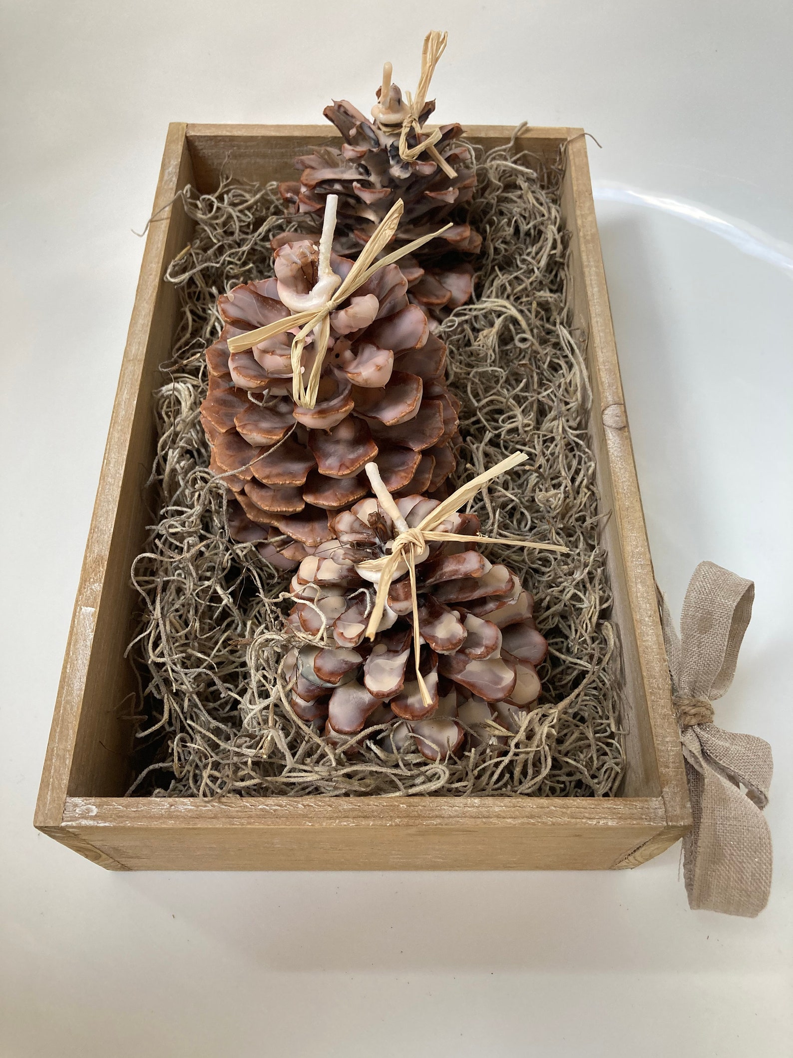 Fire Starter Pine ConesWax PineconesNatural Fire Etsy