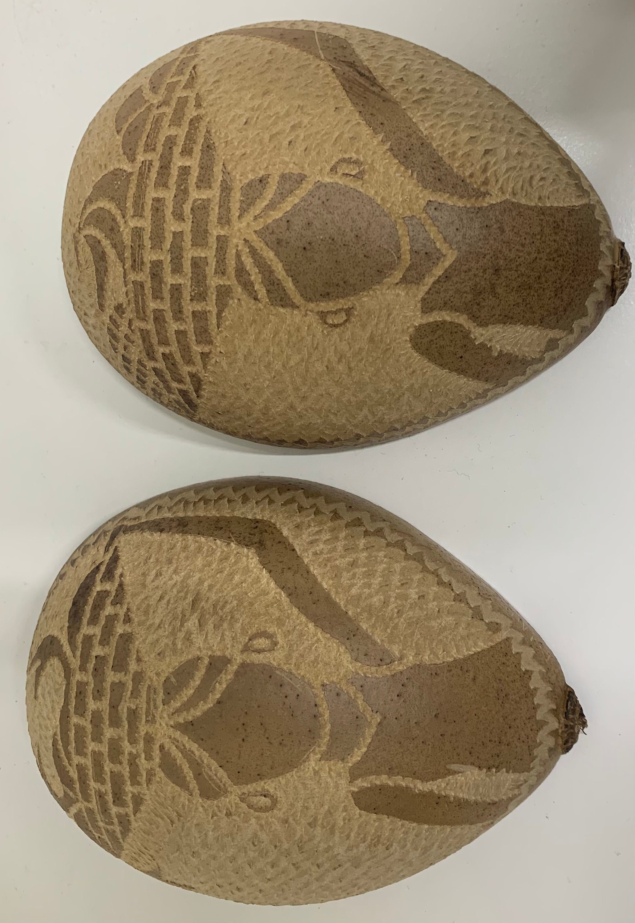 Artwork Hand-carved on a Calabash Tree Fruit Shell Home/office - Etsy