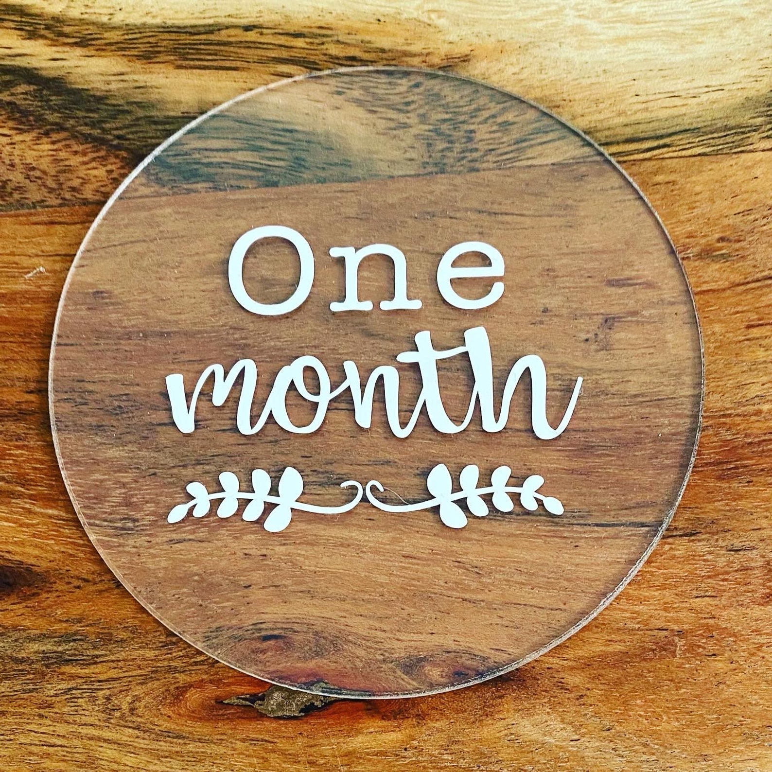 Baby Milestone Discs Personalised baby disc Vine and Month Etsy