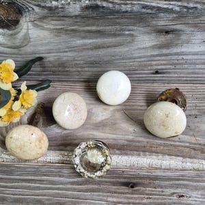 May include: A collection of vintage cabinet knobs and a decorative glass knob are arranged on a weathered wooden surface. The knobs vary in color from white to beige, with a few showing signs of age. Yellow and orange flowers add a touch of color.