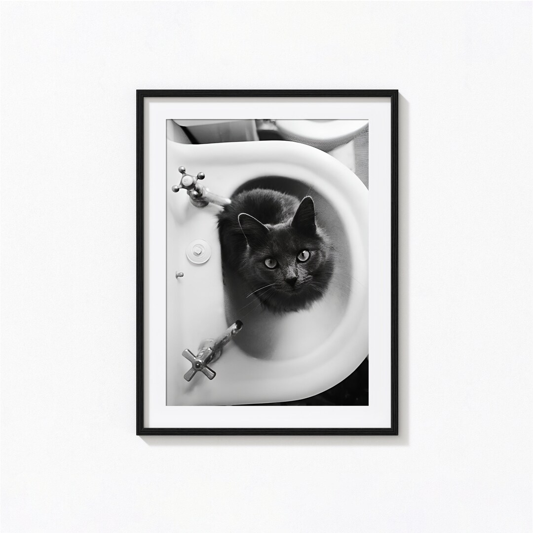 Cat Sitting in Bathroom Sink Print, Funny Cat Black and White Wall Art ...