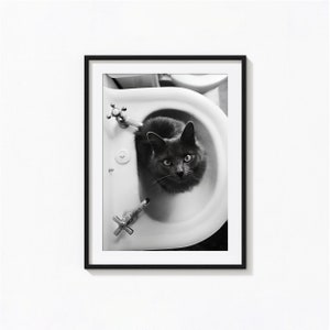 Cat Sitting In Bathroom Sink Print, Funny Cat Black and White Wall Art, Vintage Print, Photography Prints, Museum Quality Photo Art Print