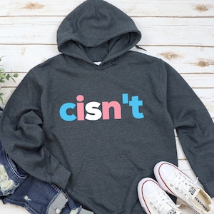Transgender Flag Hoodie, Cisn&#39;t Sweatshirt, Trans Pullover, Gender Neutral, Subtle Pride Month, Discreet LGBTQ Gift, LGBTQIA Hooded Sweater