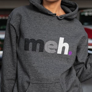 Asexual Hoodie Gift, meh Hooded Sweatshirt, Ace Pride Flag Pullover, Subtle LGBTQIA Pride Month, Gender Neutral, Asexuality, Discreet LGBTQ