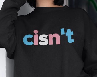 Transgender Sweater, Trans cisnt Gift, mtf cisn't Sweatshirt, ftm Winter Pullover, LGBT Adult Gender Neutral, LGBTQ Subtle Pride Month