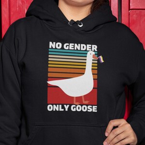 Könnte beinhalten: Schwarzer Kapuzenpullover mit dem Text "NO GENDER ONLY GOOSE" und einer Grafik einer weißen Gans mit einer Regenbogenflagge. Das Design verwendet ein Retro-Farbschema aus orangefarbenen, gelben, grünen und blauen Streifen. Der Hoodie wird von einer Person getragen.