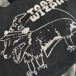 May include: Black sweatshirt with a white graphic of a cartoon animal wearing a wizard hat. The text "TOASH WIZARD" is printed above the animal.
