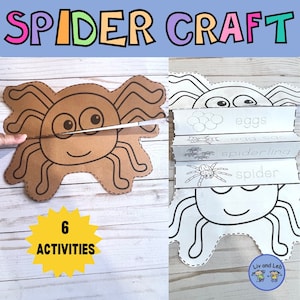 Spider Life Cycle Kids Craft