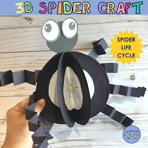 Spider Life Cycle Kids Craft- Halloween Paper Craft