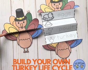 Turkey Life Cycle Craft