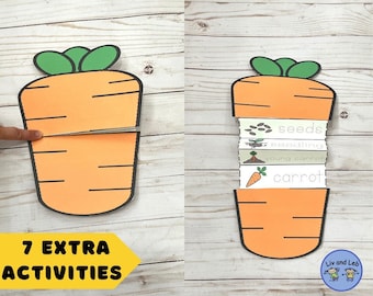 Life Cycle of a Carrot Plant Foldable Cut and Paste Sequencing Activity ...