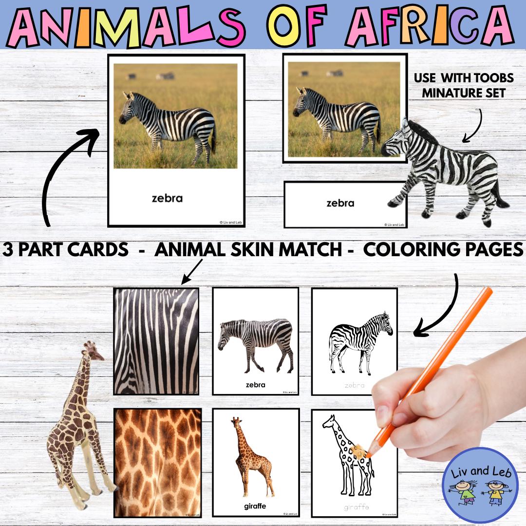 Montessori Animals of Africa 3 Part Cards - Etsy