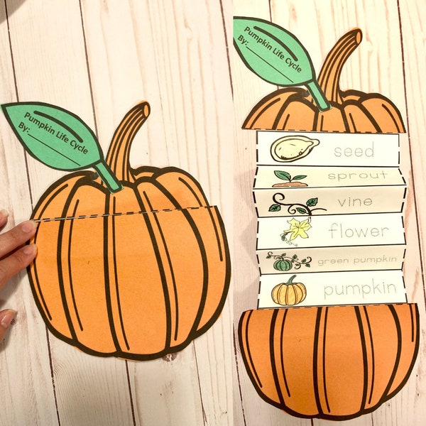 Pumpkin Life Cycle Kids Craft