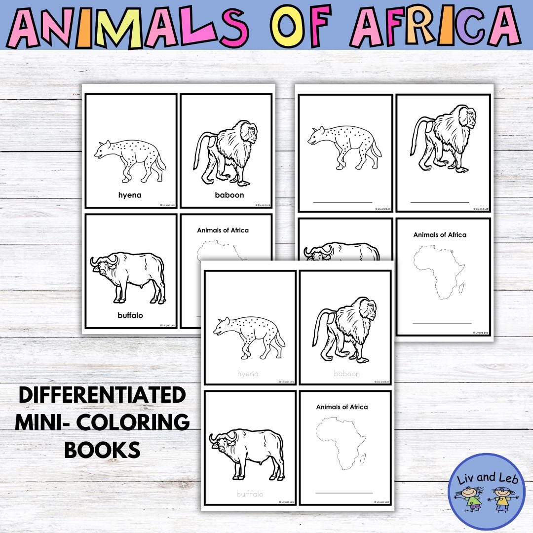 Montessori Animals of Africa 3 Part Cards - Etsy