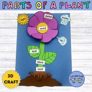 May include: A colorful educational craft titled "Parts of a Plant." The image features a large purple flower with labeled parts: petal, seed, leaf, stem, and root. Additional elements include a sun, water droplets, and the text "3D Craft."
