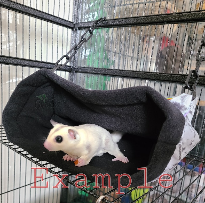 May include: A white and grey sugar glider resting in a black and white fleece hammock hanging in a cage. The hammock is attached to the cage with a black chain.