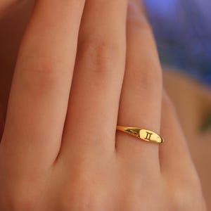 Zodiac Sign Ring in Gold Silver or Rose Gold, Personalized Horoscope Jewelry for Women, Dainty Astrological Gift