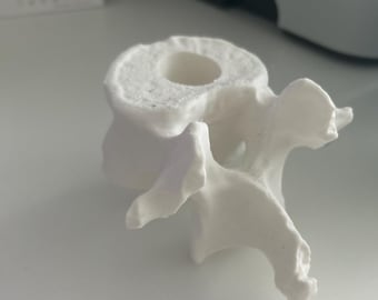 Vertebrae Pen Holder – Anatomical Decorative Accessory | 3D Printed | Gift for Medical Professionals & Therapists