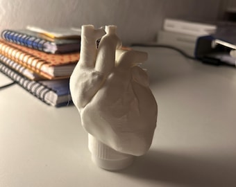 Anatomical Heart with Light – 3D Printed Lamp – Unique Decoration