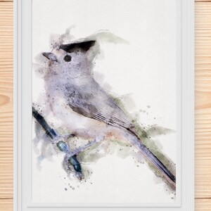 TUFTED TITMOUSE Watercolor, Titmouse Painting, Cute Bird Painting, Printable Bird Print, Watercolor Bird Download, Printables Bird Prints,