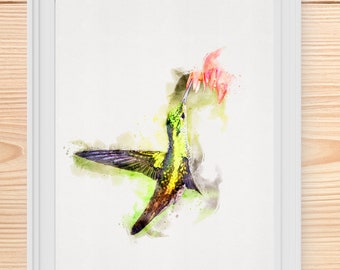 Colibri aquarelle originale, colibri avec fleurs, colibri avec fleur, aquarelle peinture colibri, art mural colibri