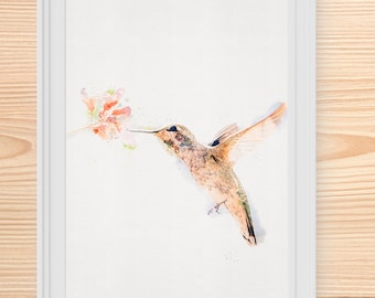 Colibri avec des fleurs, Téléchargement de colibri, Colibri avec fleur, Peinture de colibri à l’aquarelle, Impression de colibri 8x10, Art mural