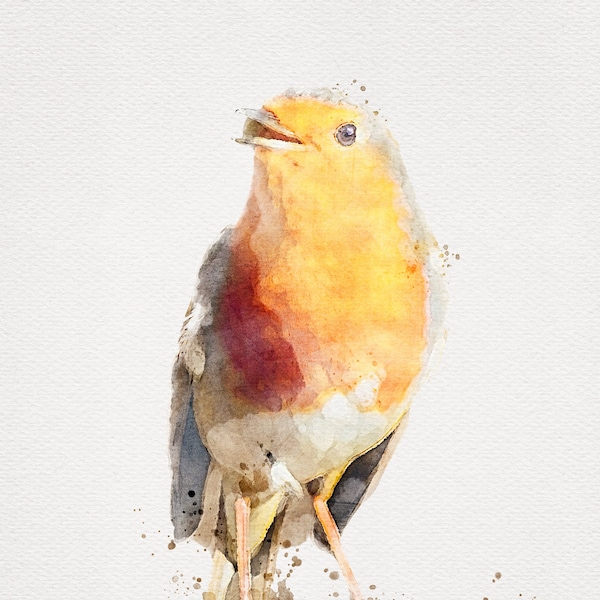 ROBIN Watercolor, Robin Painting, Robin Artwork, European Robin, Robin Bird Decor, Robin Print, Watercolor Bird Printables, Bird Watercolour