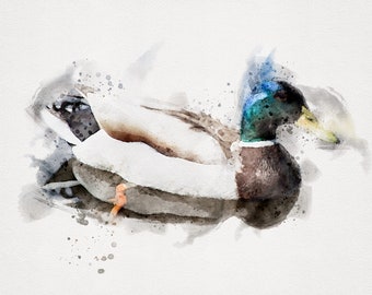 MALLARD DUCK Digital Print, Mallard Painting, Printable Bird Print, Watercolor Bird Prints, Watercolor Bird Download, Horizontal Bird Art,