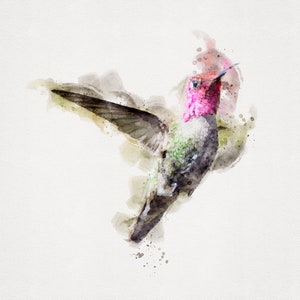 Anna&#39;s Hummingbird, Annas Hummingbird, Watercolor Hummingbird Painting, Hummingbird Download, Printable Wall Art, Watercolor Wall Art, 8x10