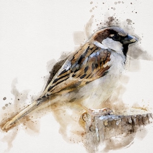 SPARROW Watercolor Painting, Sparrow Print, Horizontal Bird Art, Printable Bird Prints, Watercolor Bird Prints, Watercolor Bird Printables