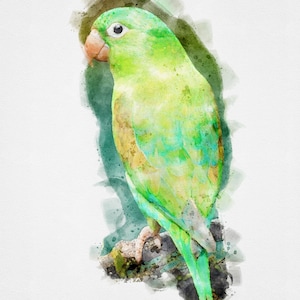 Green Tropical Bird Watercolor Art, Printable Green Tropical Bird Painting, Green Bird Painting, Tropical Bird Art, Watercolor Bird Art,