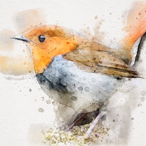 EUROPEAN ROBIN Aquarell, Rotkehlchen Druck, Rotkehlchen Druck, Rotkehlchen Malerei, Vogel Aquarell, Vogel Malerei Aquarell, Aquarell Vogel Drucke