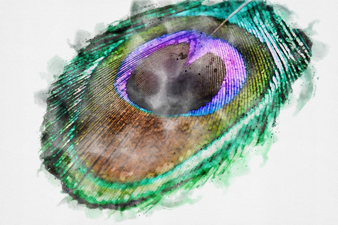 Printable Peacock Feather Watercolor Art, Peacock Watercolor Art ...